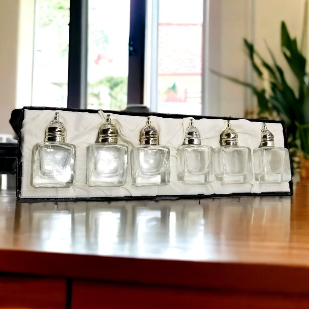 "Vintage Glass Mini Salt & Pepper Shakers w/ Silver Tops  Original Box Set-6